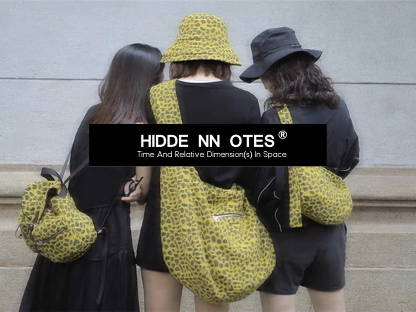 HIDDENNOTES