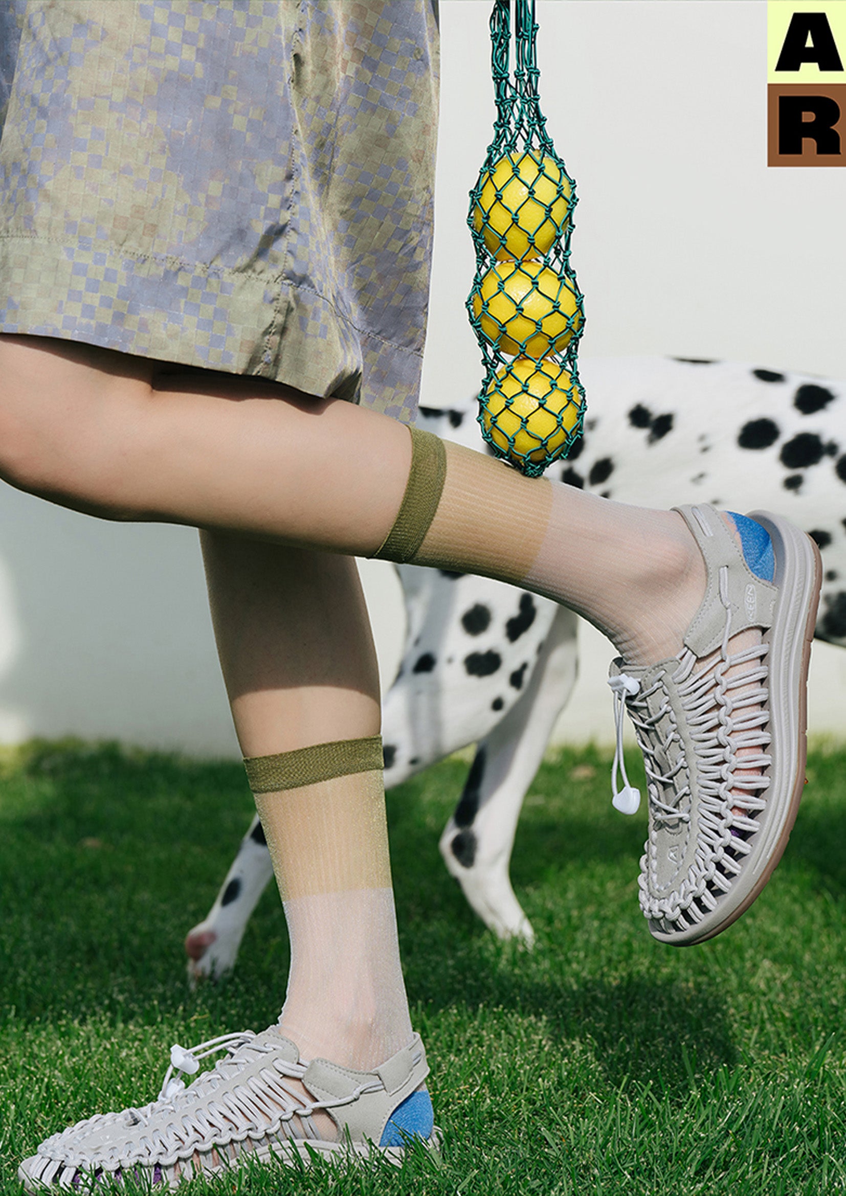 Spliced colour block sheer mid-calf sock - olive